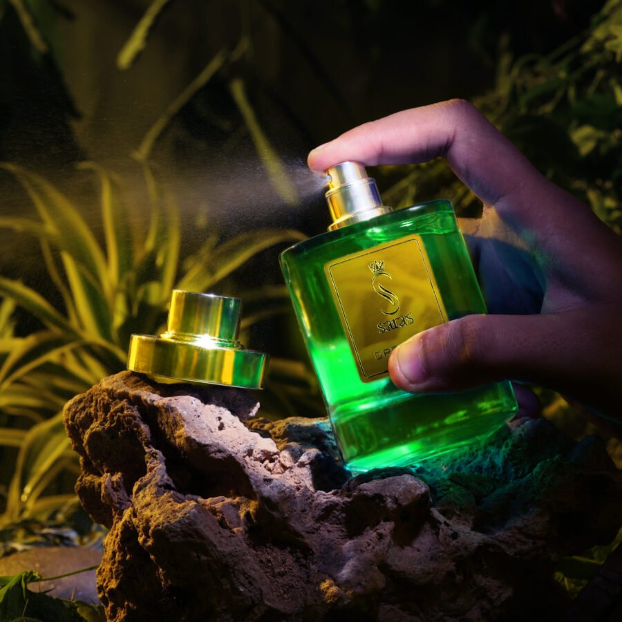 Dreamer - Image 2